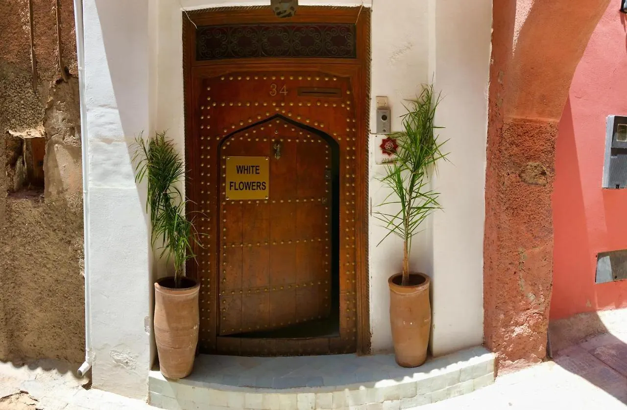Riad White Flowers Marrakesh Marocco